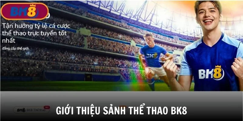 Giới thiệu danh mục giải trí Thể Thao BK8