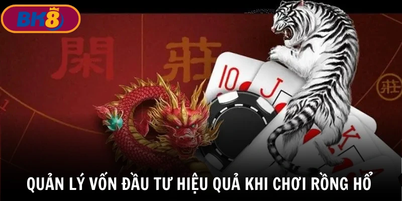 Mẹo chơi bài rồng hổ - Quản lý vốn đầu tư hiệu quả